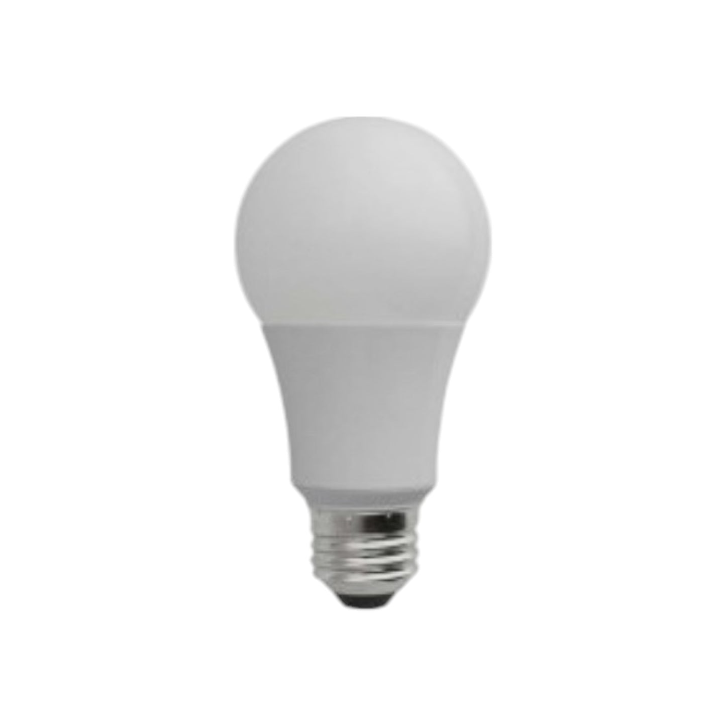 Light Bulb