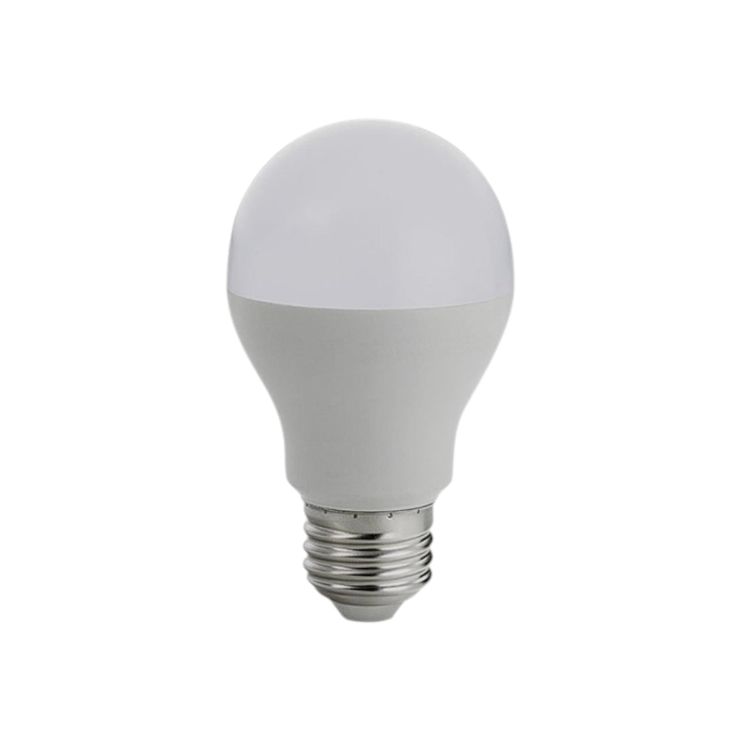 Light Bulb