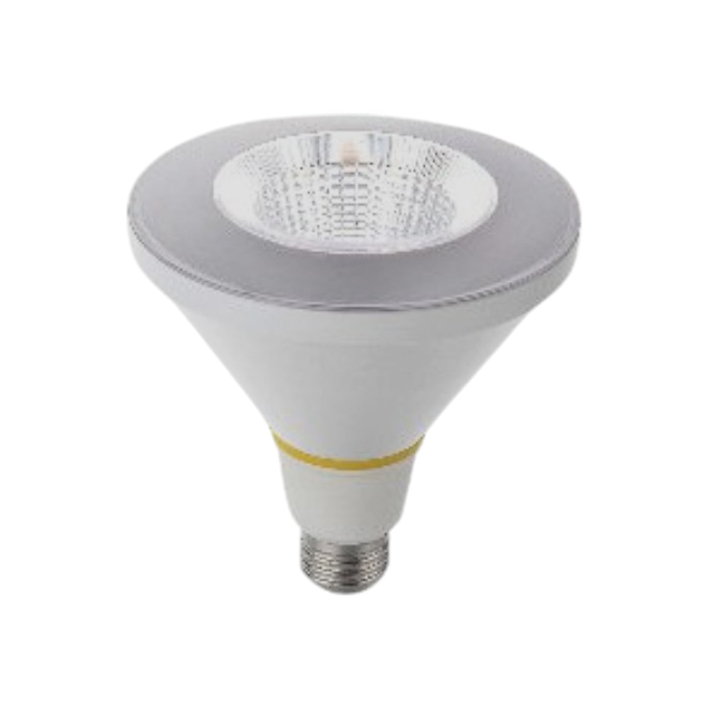 Light Bulb