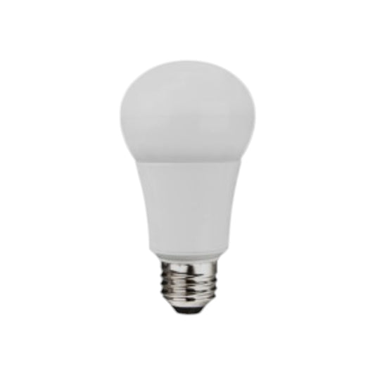 Light Bulb