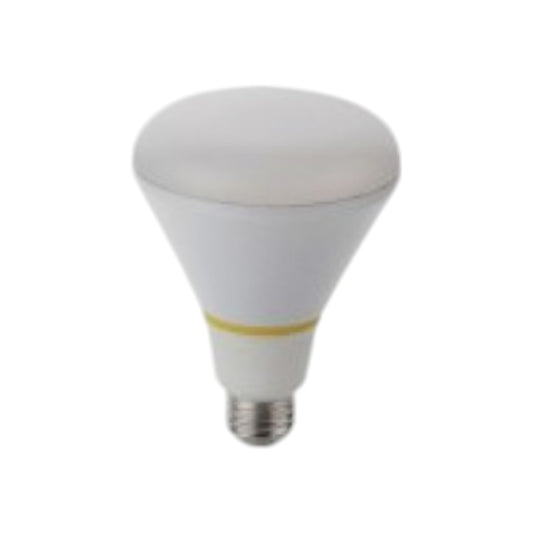 Light Bulb