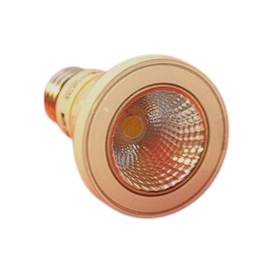 Light Bulb