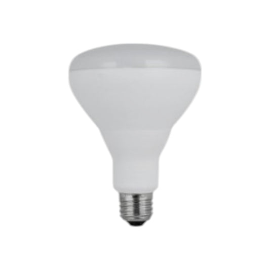 Light Bulb