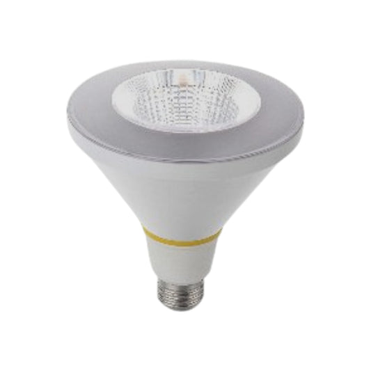 Light Bulb